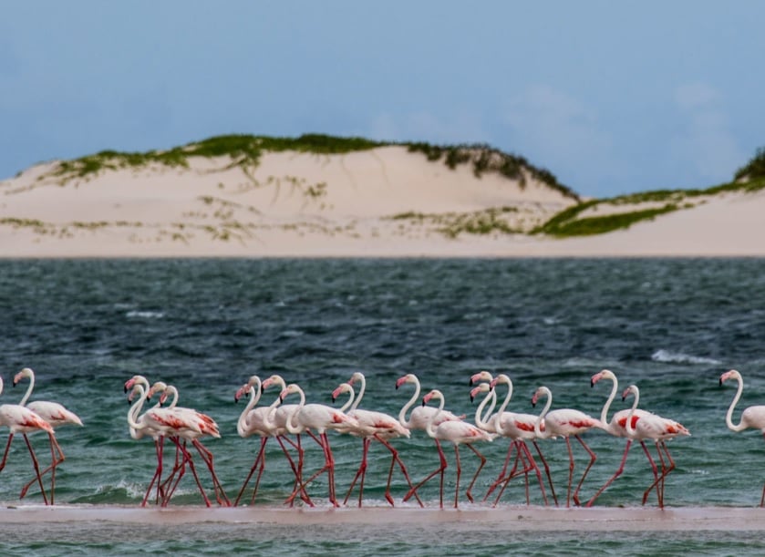 5 Day Romantic Mozambique Escape Benguerra Island Mozambique